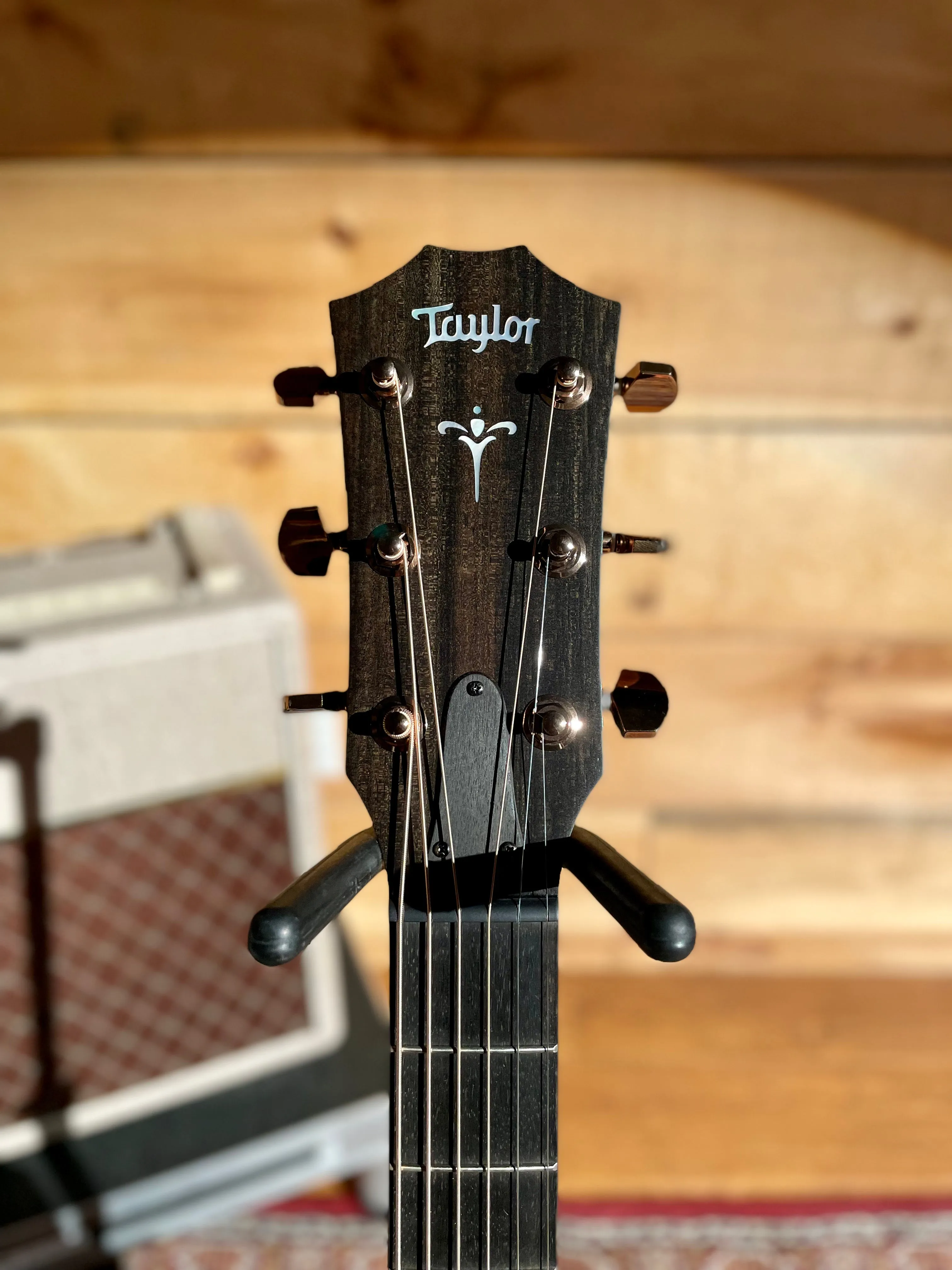 Taylor 724ce, Koa